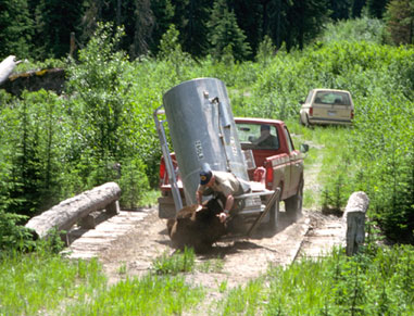 Bear Pulling Cage off Truck